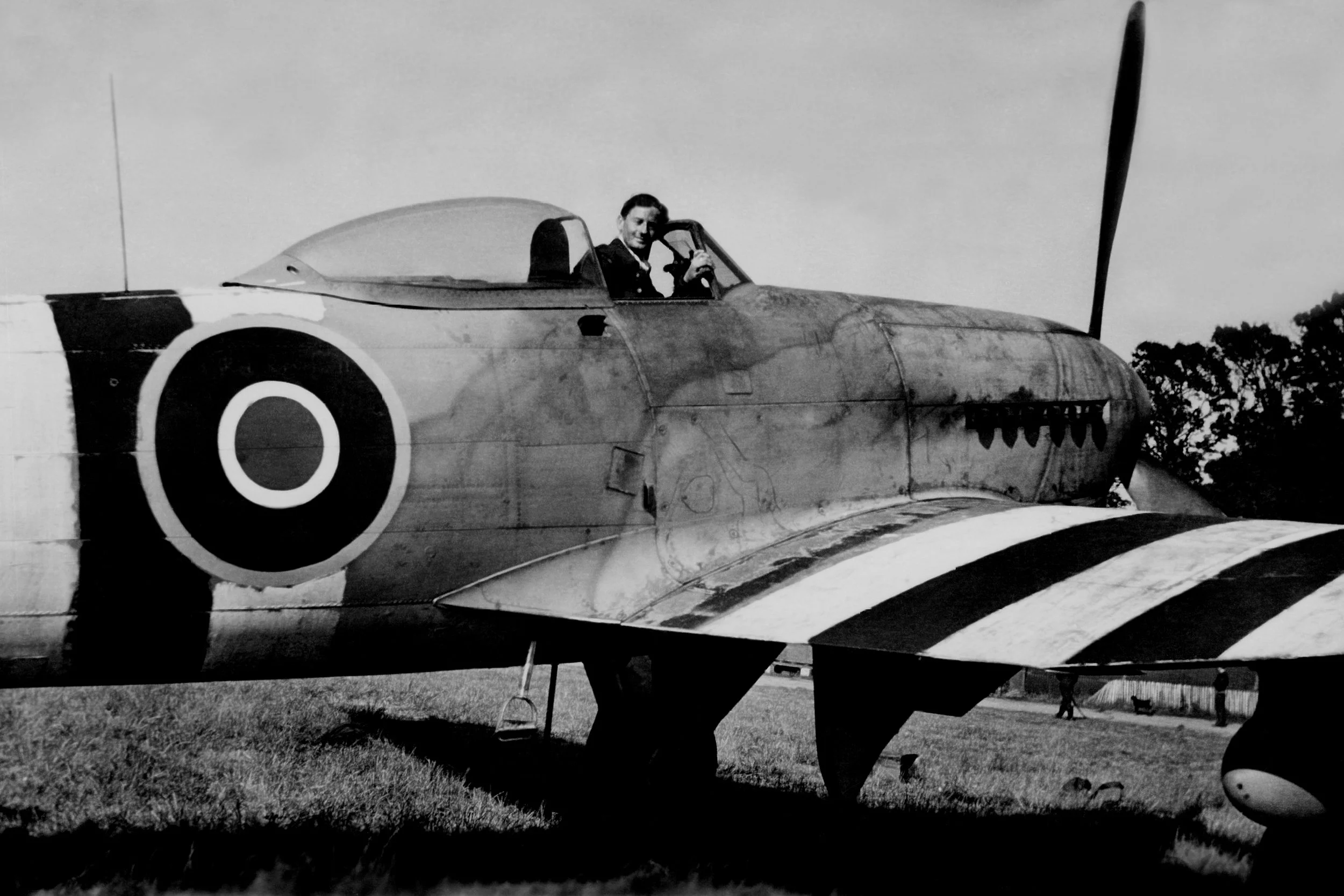 JP843 History — Typhoon Legacy
